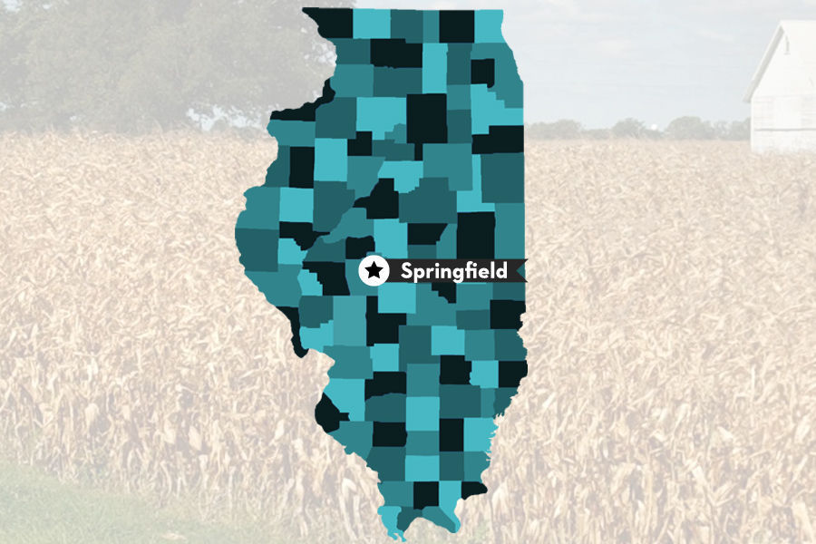 11. Springfield